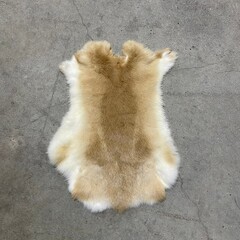 Konijnenvachten beige wit 45-50 x 30-40cm