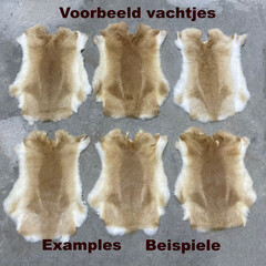 Konijnenvachten beige wit 45-50 x 30-40cm