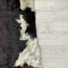 Koeienhuid tricolor bruin zwart wit Normandiër 225x210cm M/L