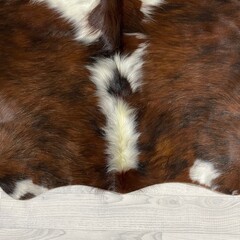 Koeienhuid tricolor bruin zwart wit Normandiër 220x205cm M/L