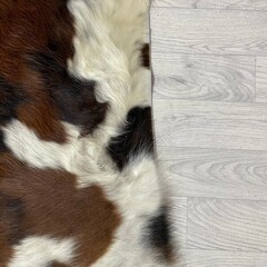 Koeienhuid tricolor bruin zwart wit Normandiër 230x210cm M/L
