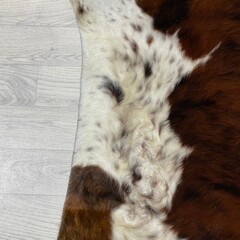 Koeienhuid tricolor bruin zwart wit Normandiër 215x210cm M/L