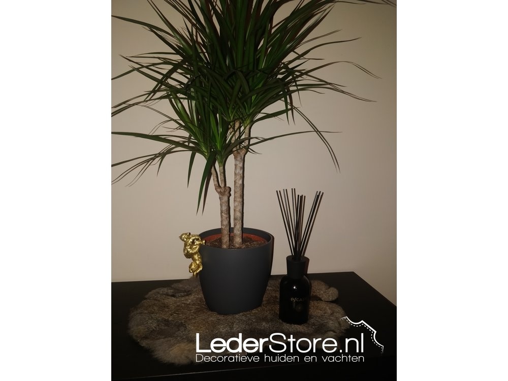 Kaninchenfell grau-braun unter einem Blumentopf, Maite Harrus 2