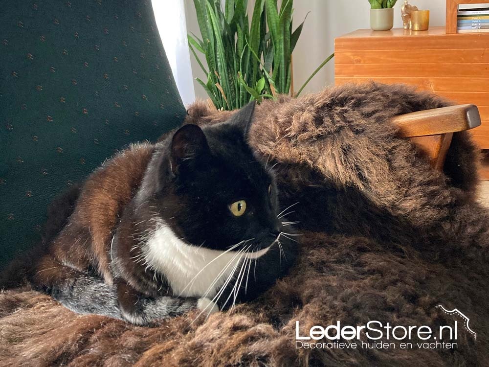 Braunes Lammfell in einem Schaukelstuhl mit Katze 2