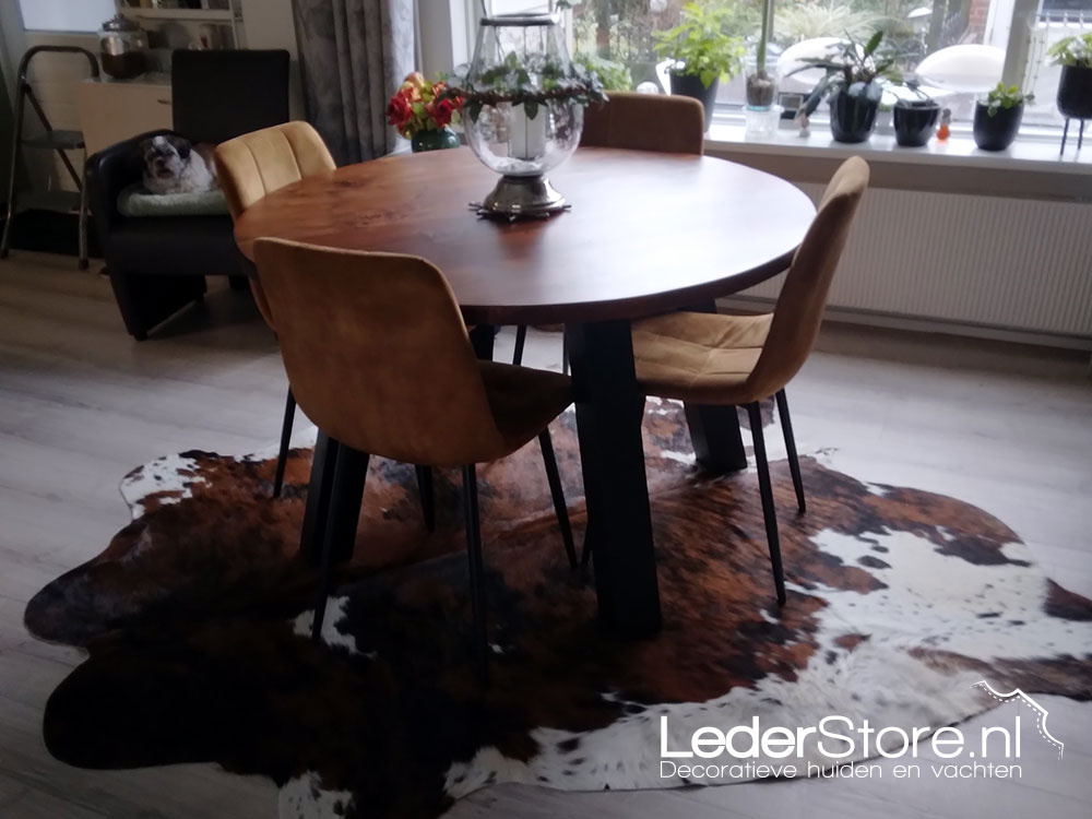 Normannisches Kuhfell im Esszimmer Vera 1