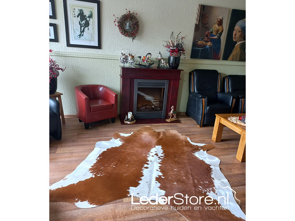 Kuhfell rotbraun weiß Hereford im Wohnzimmer von Hans Mariet 2