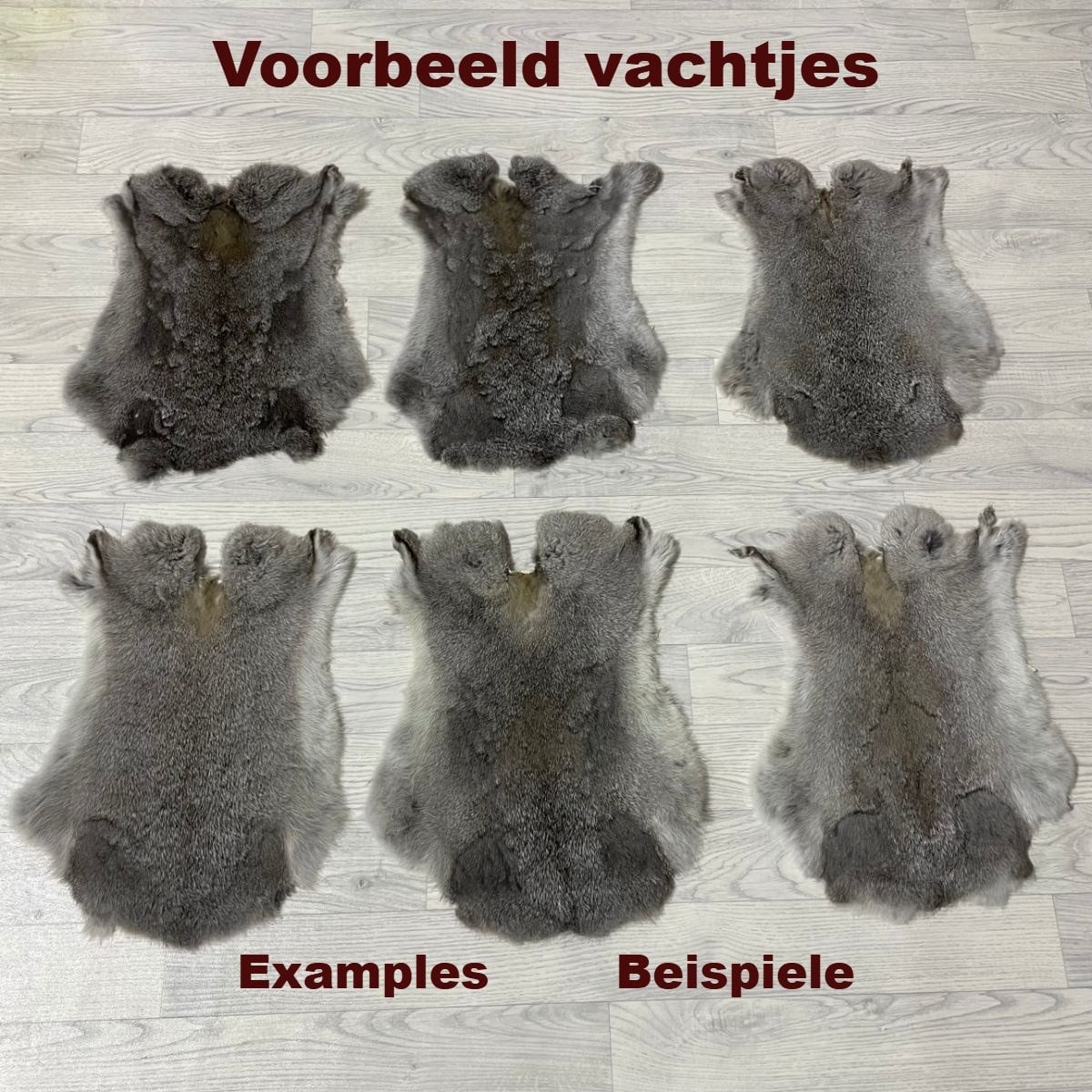 Konijnenvachten grijs wit L45-50 x B30-40cm