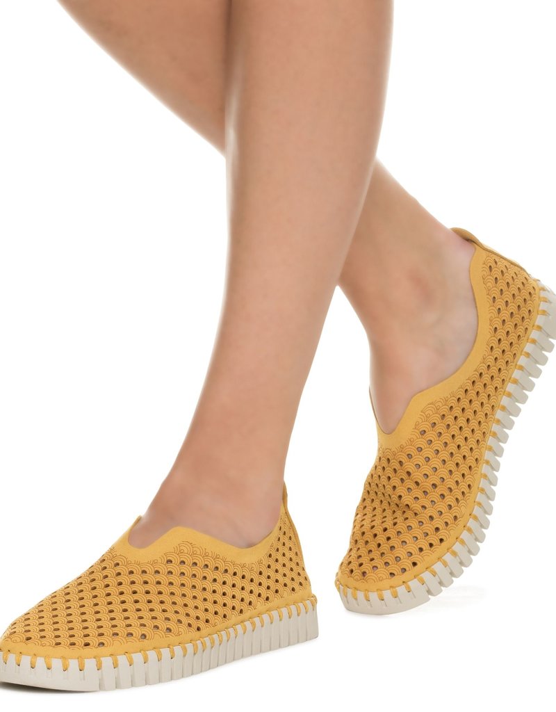 Ilse Jacobsen sneaker, Tulip 3275B - ENVOGUE