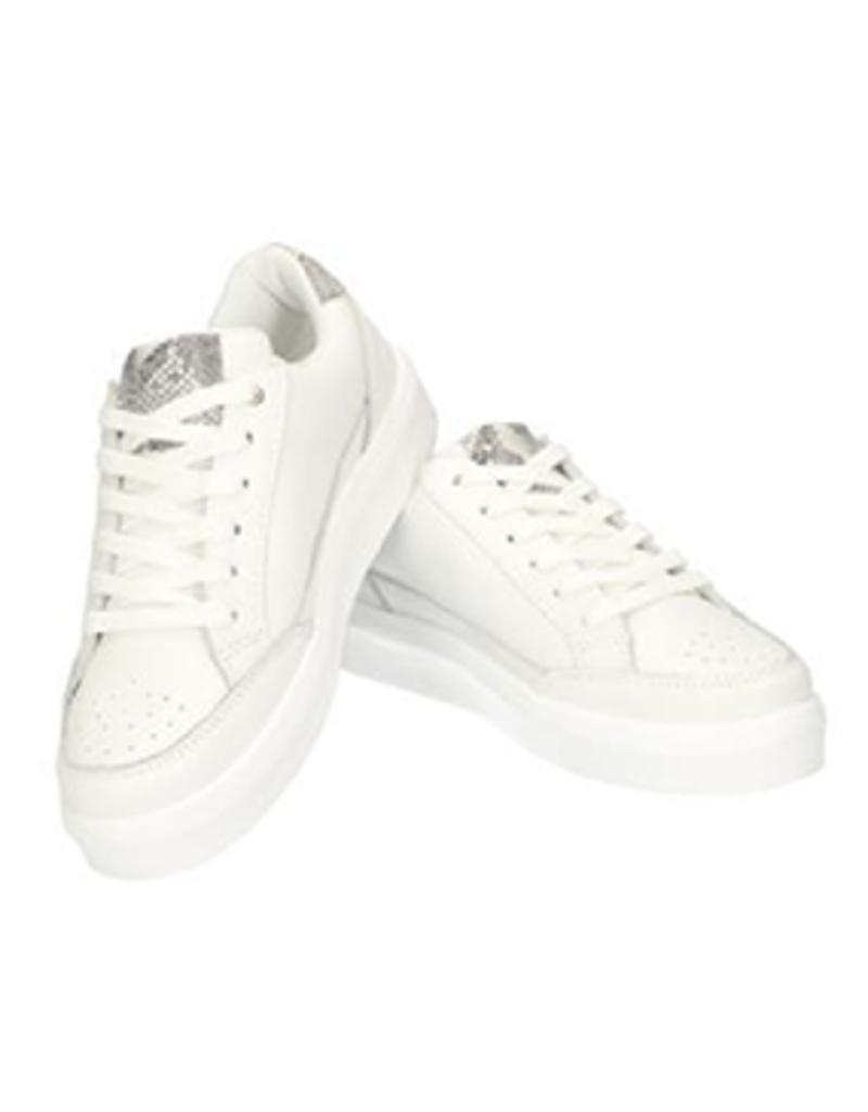 Daphne SC Sneaker Lace Up Snake, 50509 - ENVOGUE