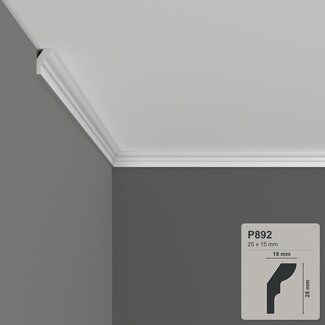 Grand Decor Cornice P892 (25 x 15 mm), polyurethane, length 2 m