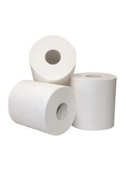Euro Products Poetspapier Recycled Wit 2 lgs 6 rollen (met koker)
