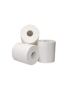 Euro Products Poetspapier Recycled Wit 2 lgs 6 rollen (met koker)