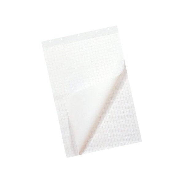 Flipoverpapier 65x98cm. 50 vel 80gram doos 2 stuks blanco/ruit