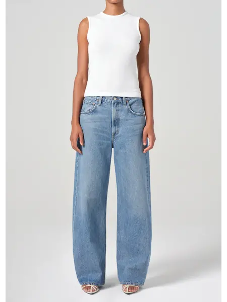 Agolde jeans Low Curve