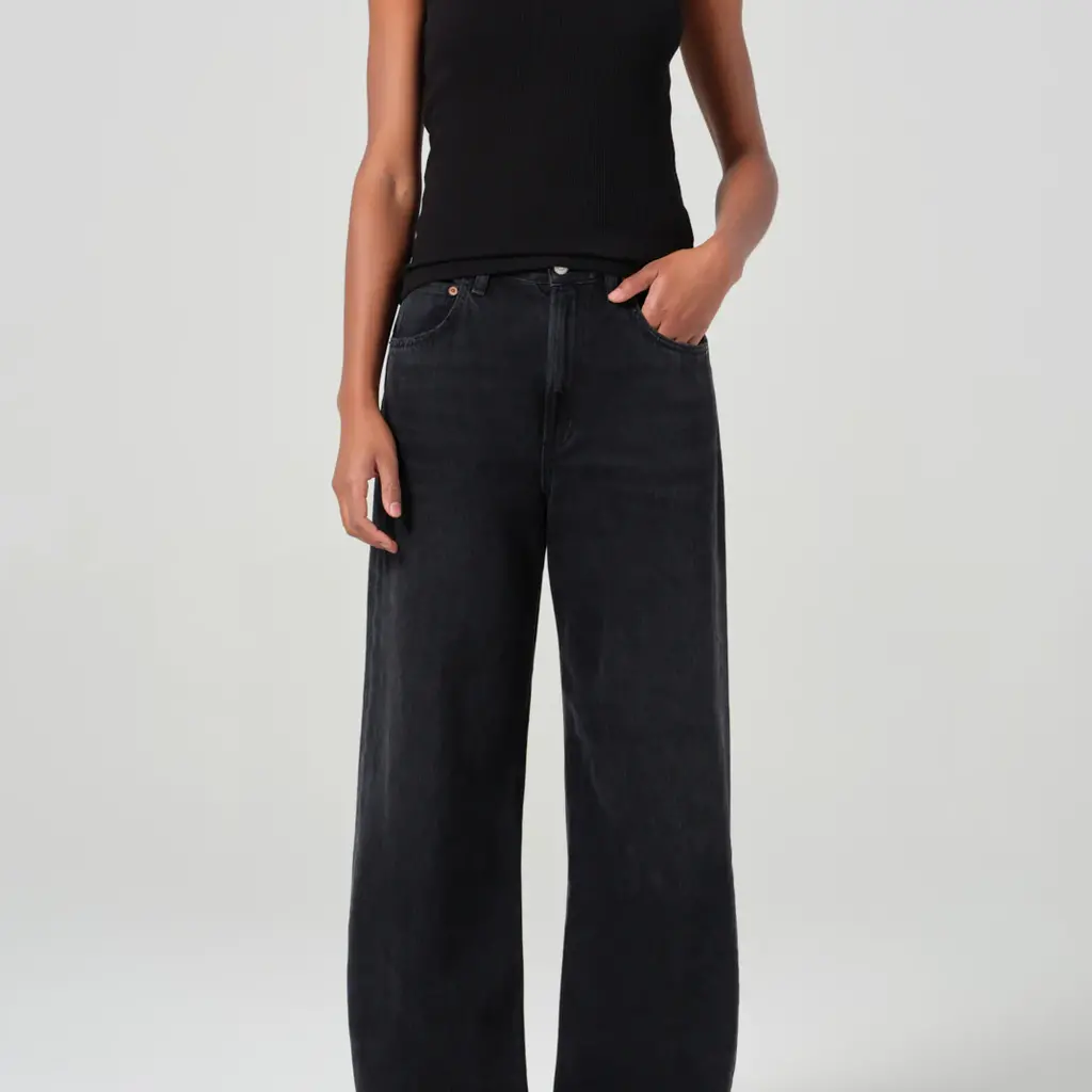 Agolde jeans Low Curve Jean in black tar