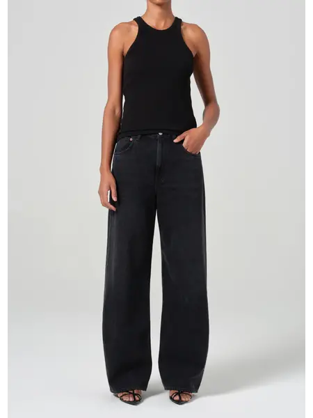 Agolde Low Curve Jean
