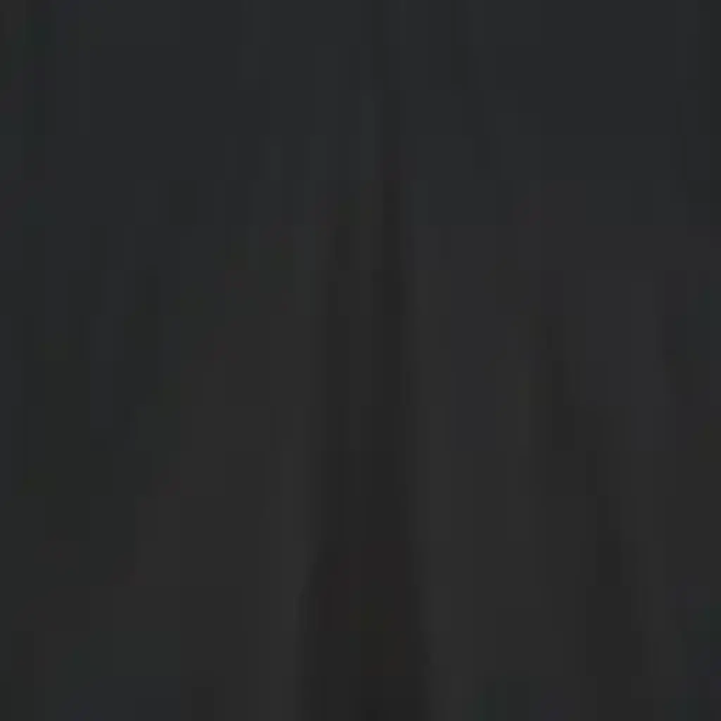 Neeve t-shirt The Michelle in essential black