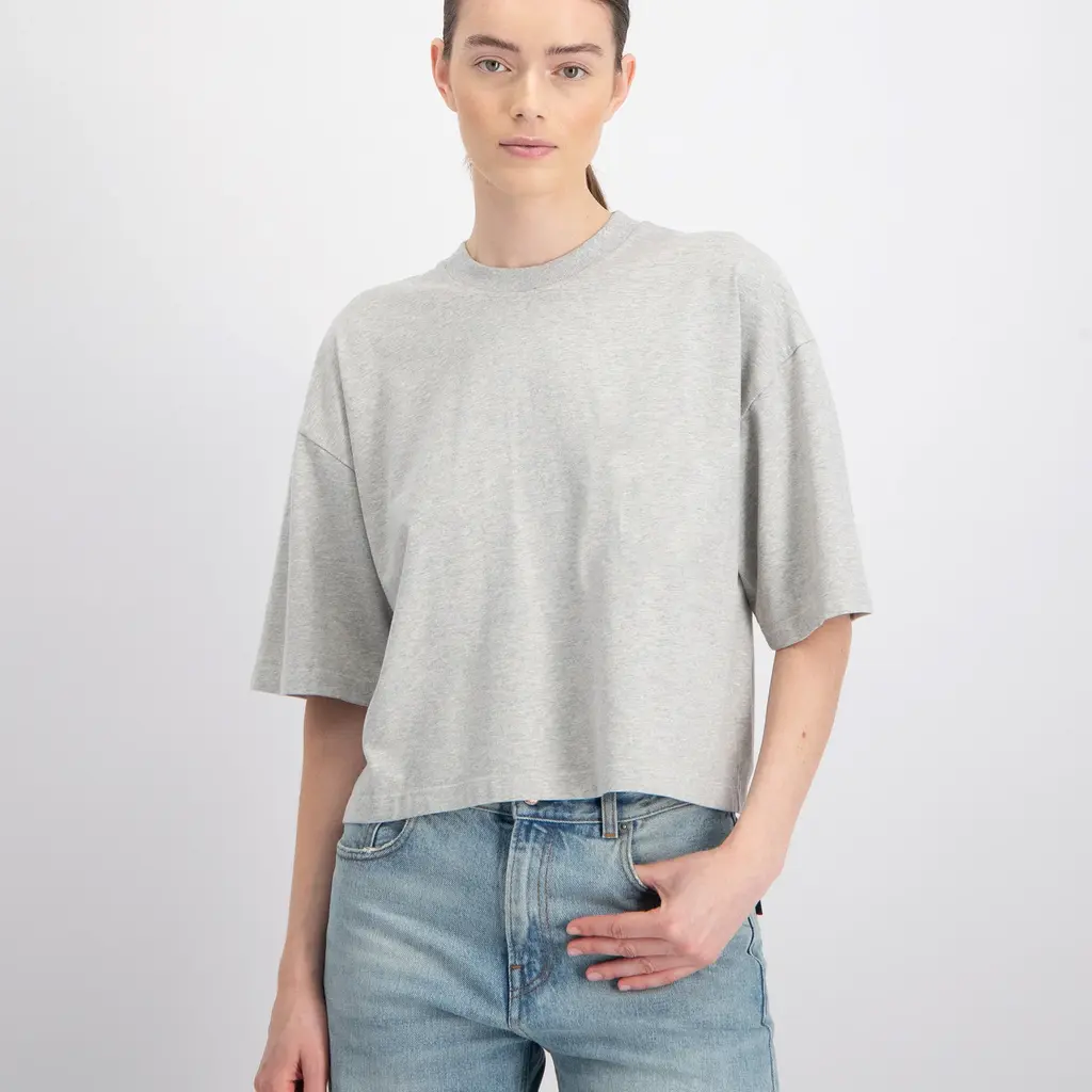 Neeve t-shirt The Talia in grey melange
