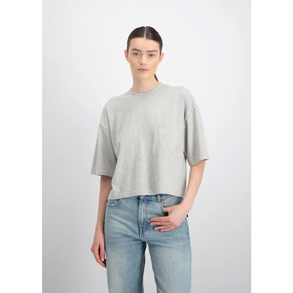 Neeve t-shirt The Talia in grey melange