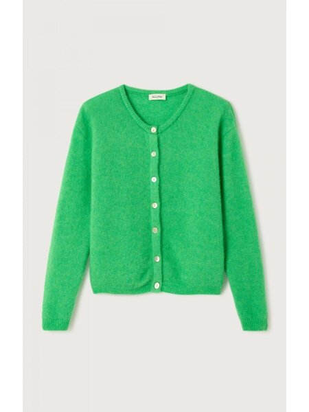 American Vintage Vitow vest in jardin chine