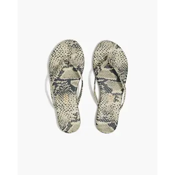 TKEES slipper studio exotic sandsnake