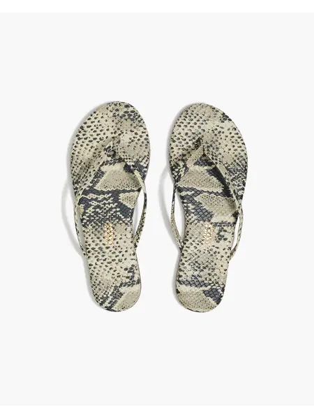 TKEES slipper studio exotic sandsnake