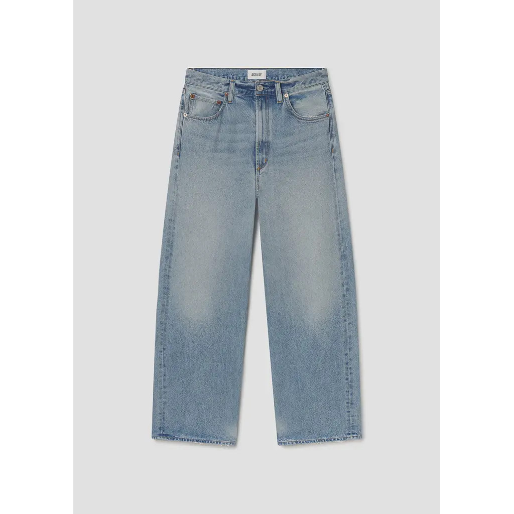 Agolde Low Curve Jean in reset