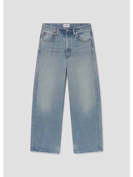 Agolde jeans Low Curve reset