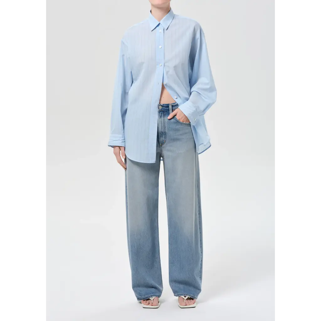 Agolde Low Curve Jean in reset