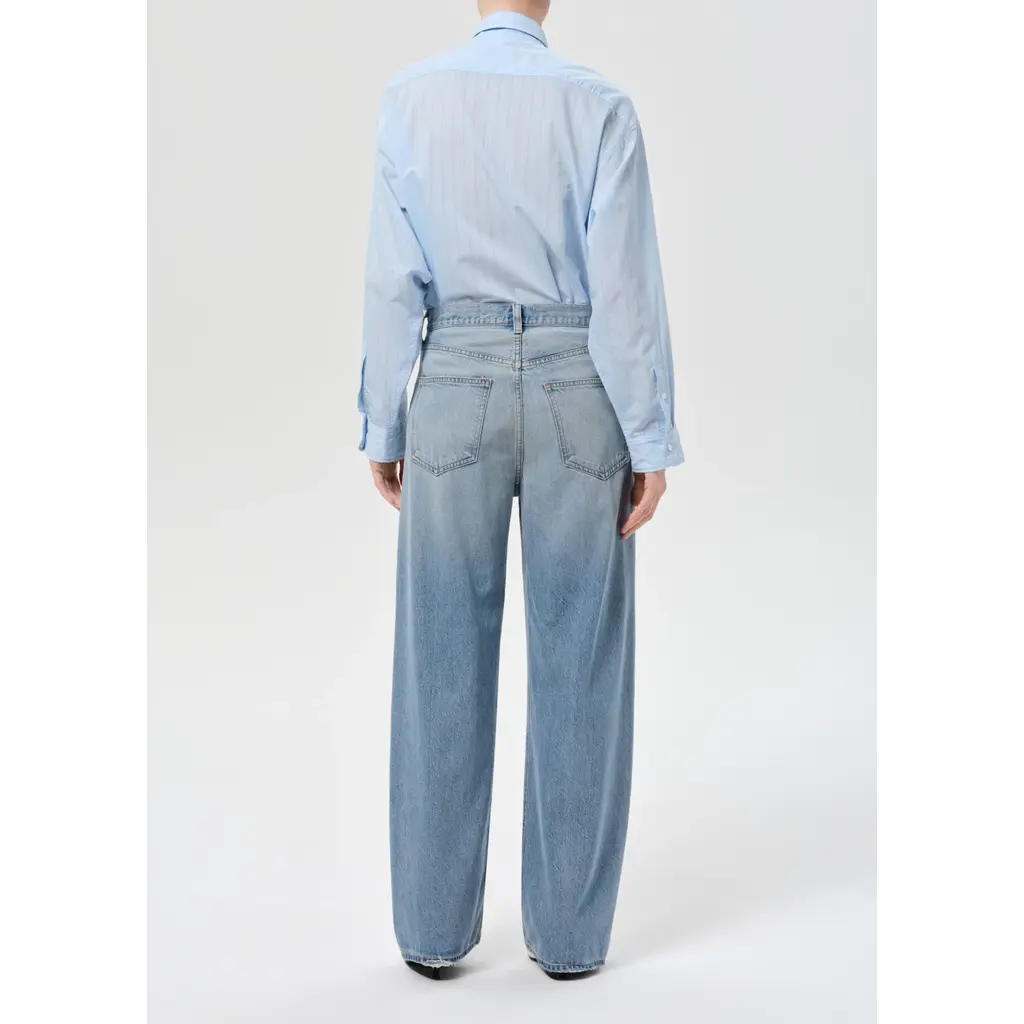 Agolde Low Curve Jean in reset