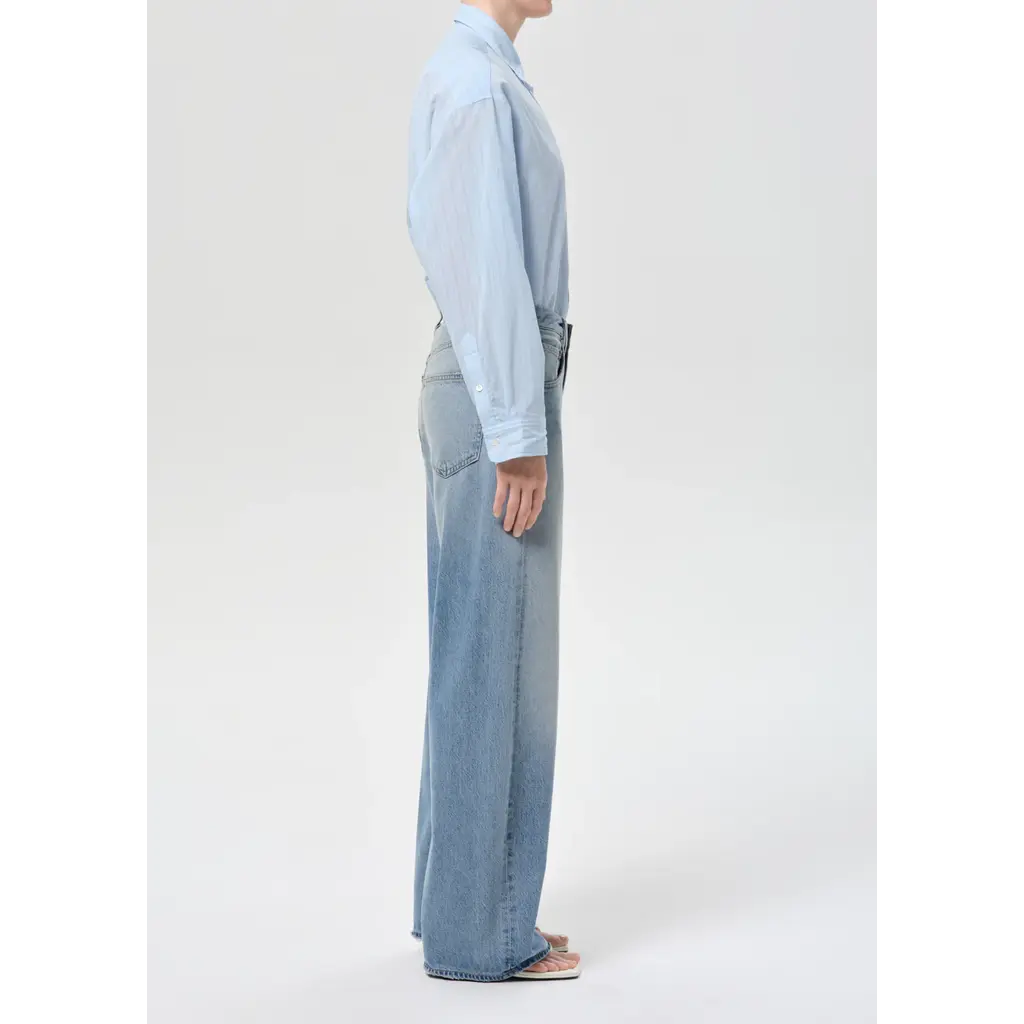 Agolde Low Curve Jean in reset