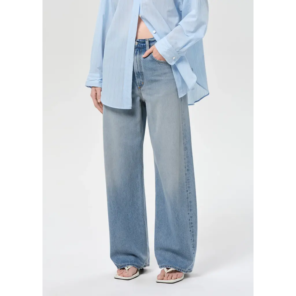 Agolde Low Curve Jean in reset
