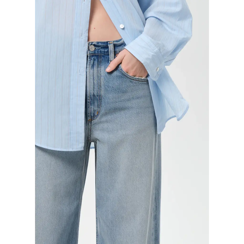 Agolde Low Curve Jean in reset