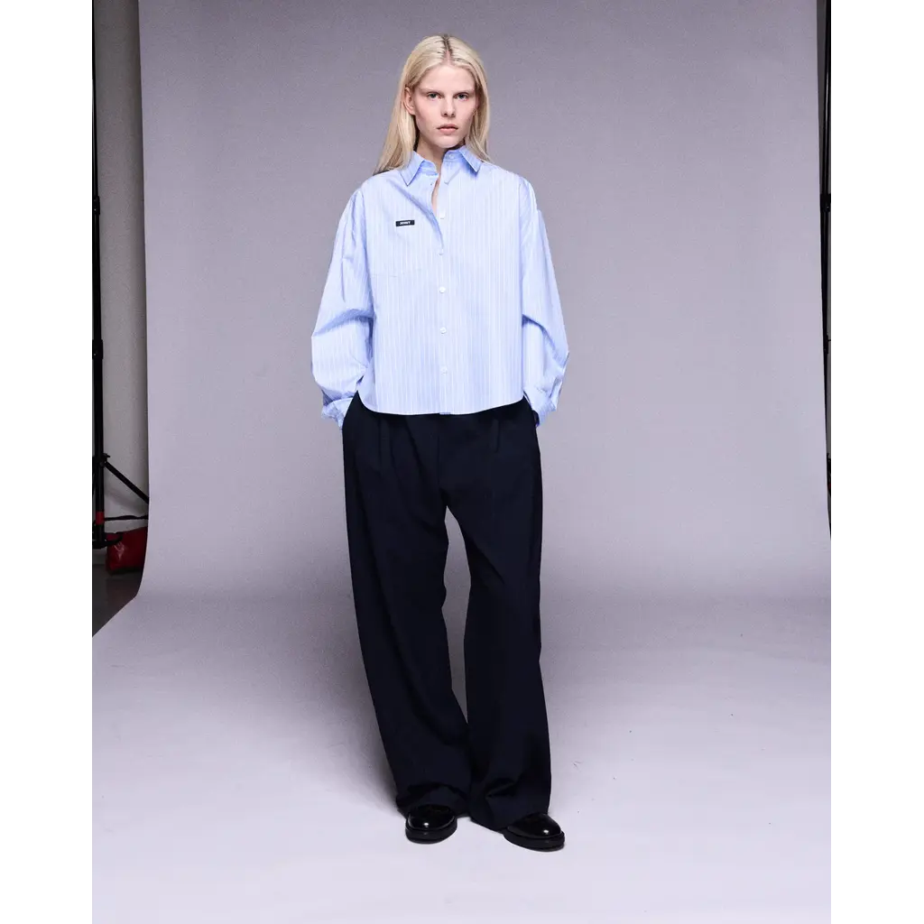 Johny pantalon Ayo in navy pinstripe