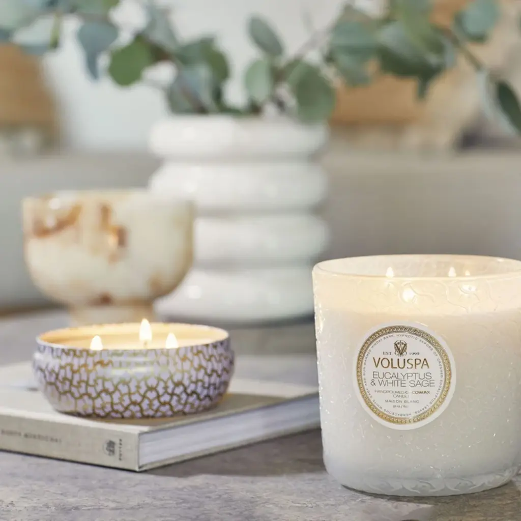 Voluspa Boxed Luxe Candle Eucalyptus