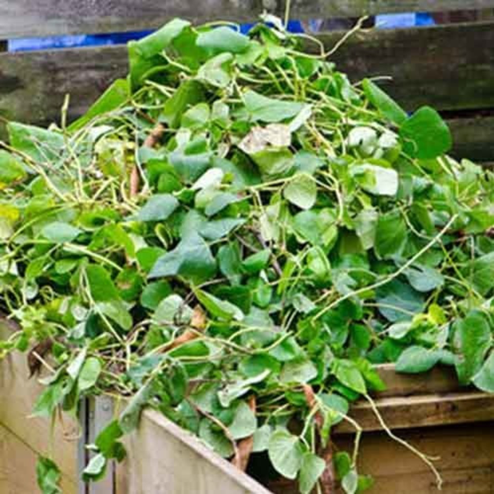 Groenafval container