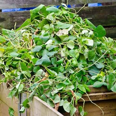 Groenafval container