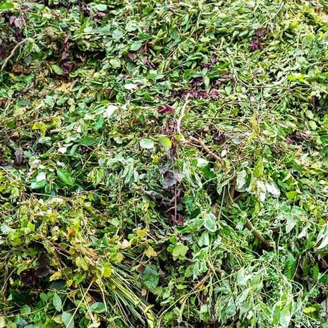 Groenafval container 10m3 gesloten