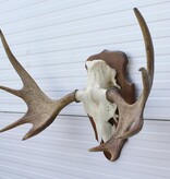 Scandinavisch ELAND GEWEI op houten schild