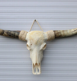 Grote schedel TEXAS STYLE LONGHORN 139 cm - ref. C