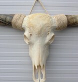 Grote schedel TEXAS STYLE LONGHORN 139 cm