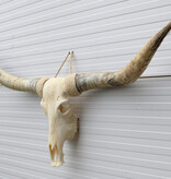 Grote schedel TEXAS STYLE LONGHORN 175 cm