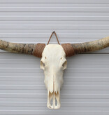 Grote schedel TEXAS STYLE LONGHORN 155 cm