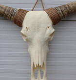 Grote schedel TEXAS STYLE LONGHORN 145 cm