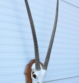 Grote SPIESBOK / ORYX op houten schild