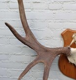 Scandinavisch ELAND GEWEI op houten schild