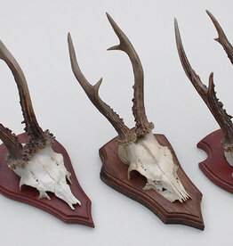 3 x groot REE GEWEI op houten schild -  set U