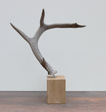 GEWEI WITSTAART HERT op houten sokkel