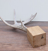 GEWEI WITSTAART HERT op houten sokkel