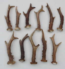 11 losse stangetjes REE GEWEI 13-18 cm. Ref E